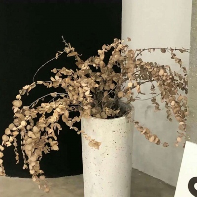 Furry插画风格探索思路FurryQQ群